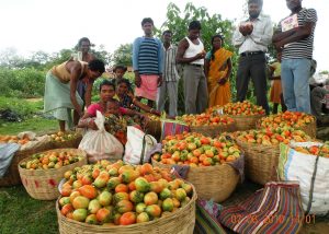 jharkhand-harvest