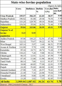 2017-12-18_Gujarat-bovines1