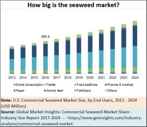 2018-06-12_seaweed-end-user-market