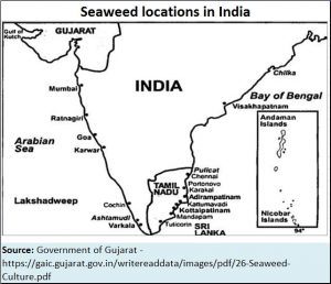 2018-06-12_seaweed-locations