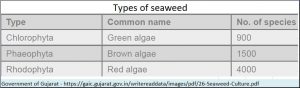 2018-06-12_seaweed-types