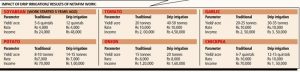 drip-irrigation-economics