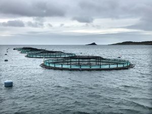 2018-10-07_GTF-Aquaculture Cage Nets