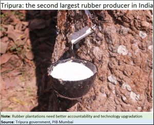 2019-03-10_08_Tripura-rubber