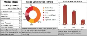 2020-10-08_Maize-states-consumption-importance